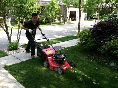 工廠、商務大樓、工業(yè)園區(qū)、私人企業(yè)、電影院、銀行、政府機關(guān)、學校、酒店娛樂場所等綠化養(yǎng)護