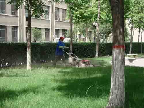 工廠、商務(wù)大樓、工業(yè)園區(qū)、私人企業(yè)、電影院、銀行、政府機(jī)關(guān)、學(xué)校、酒店娛樂場所等綠化養(yǎng)護(hù)