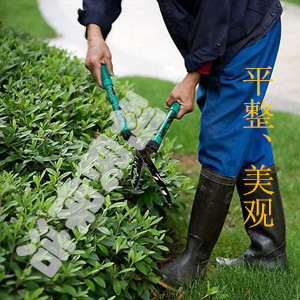 江陰保潔公司 江陰保潔服務 江陰綠化養(yǎng)護