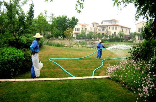 綠化養(yǎng)護(hù)