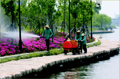 綠化養(yǎng)護(hù)